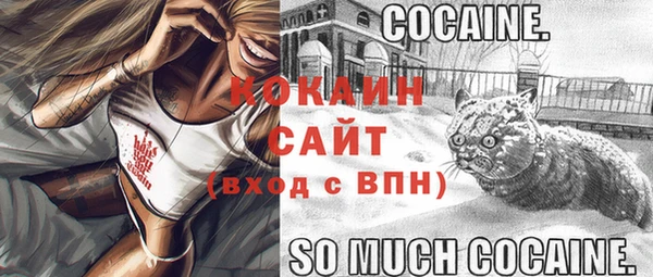 первитин Медвежьегорск