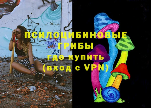 первитин Медвежьегорск