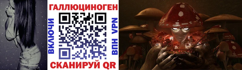 Псилоцибиновые грибы Magic Shrooms  Староминская 
